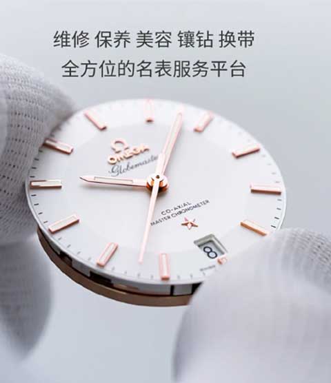 维修播威